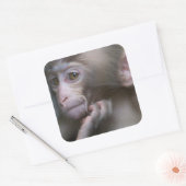 Baby aap vierkante sticker (Envelop)