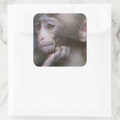 Baby aap vierkante sticker (Tas)