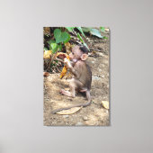 Baby aapje canvas afdruk (Voorkant)