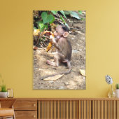 Baby aapje canvas afdruk (Insitu (Woonkamer))
