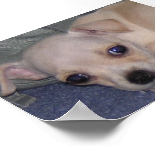 Baby afdrukken. poster (Hoek)