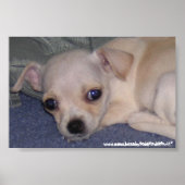 Baby afdrukken. poster (Voorkant)