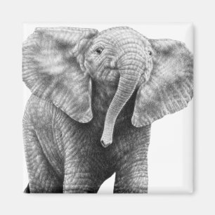 Baby African Elephant Magnet