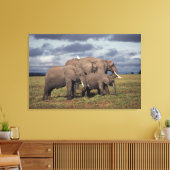 Baby African Elephant with Famy Canvas Afdruk (Insitu (Woonkamer))