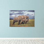 Baby African Elephant with Famy Canvas Afdruk (Insitu (Houten vloer))