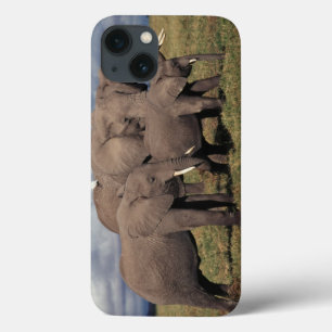 Baby African Elephant with Famy Case-Mate iPhone Case