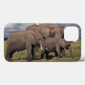 Baby African Elephant with Famy Case-Mate iPhone Case (Achterkant (horizontaal))