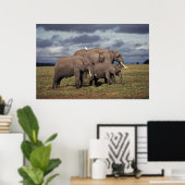 Baby African Elephant with Famy Poster (Thuiskantoor)