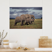 Baby African Elephant with Famy Poster (Keuken)