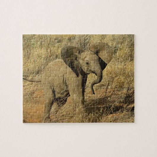 Baby-Afrikaanse olifant, Loxodonta Afriana, Legpuzzel (Horizontaal)