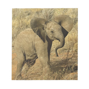 Baby Afrikaanse Olifant, Loxodonta Africana, Notitieblok
