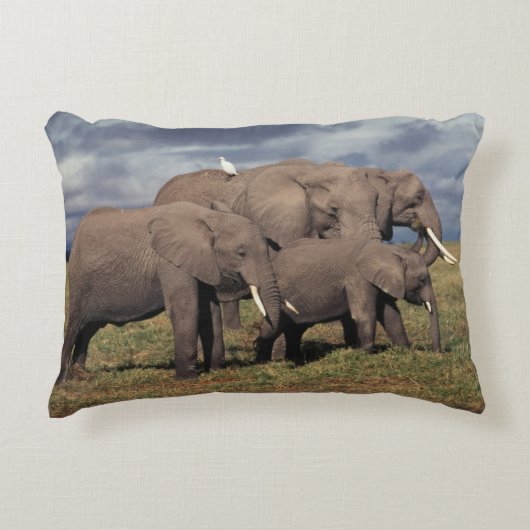 Baby Afrikaanse Olifant met familie Accent Kussen (Voorkant)