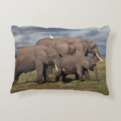 Baby Afrikaanse Olifant met familie Accent Kussen (Achterkant)