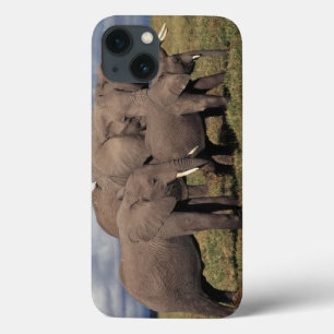 Baby Afrikaanse olifant met familie iPhone 13 Hoesje