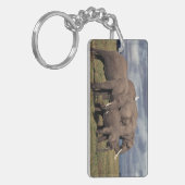 Baby Afrikaanse Olifant met familie Sleutelhanger (Voorkant Links)