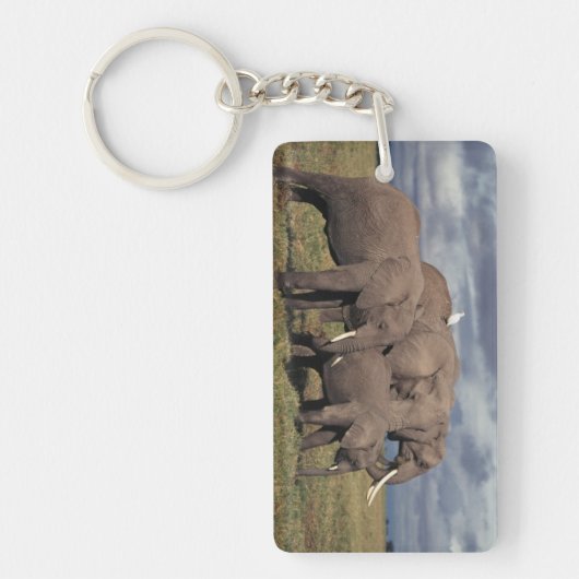 Baby Afrikaanse Olifant met familie Sleutelhanger (Voorkant)