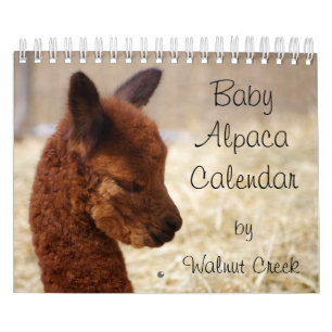 Baby Agenda 2020 Kalender