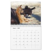 Baby Agenda 2023 Kalender (Mar 2027)