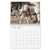 Baby Agenda 2023 Kalender (Jan 2026)