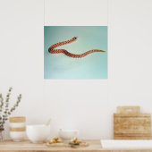 Baby Albino Hognose Snake Poster/Pring Poster (Keuken)