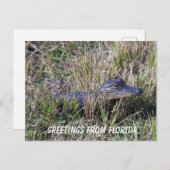 Baby Alligator Cute Natuur Florida personaliseren Briefkaart (Voorkant / Achterkant)