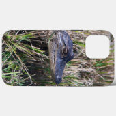 Baby-alligator in moerasgras fotografie Case-Mate iPhone case (Achterkant (horizontaal))