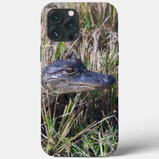 Baby-alligator in moerasgras fotografie Case-Mate iPhone case (Achterkant)