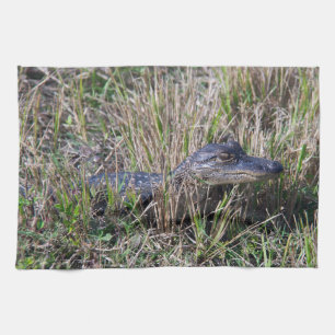Baby-alligator in moerasgras fotografie theedoek