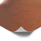 Baby Alligator Poster (Hoek)