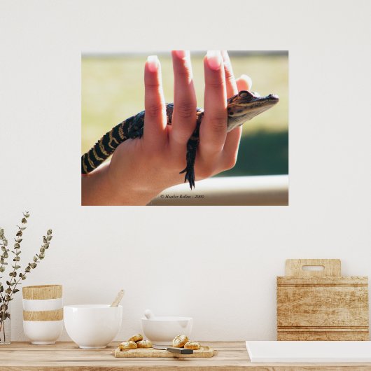 Baby Alligator Poster (Keuken)