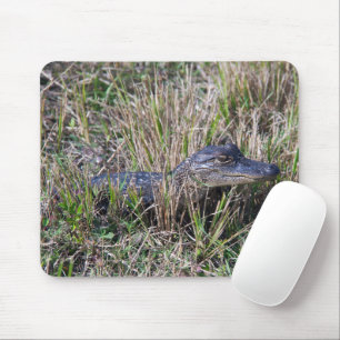 Baby Alligator Wilde Natuur Fotografie Muismat