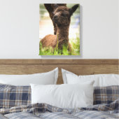 Baby Alpaca Canvas Afdruk (Insitu (Slaapkamer))