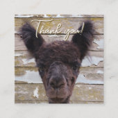 Baby Alpaca Customer Thank You Discount Vierkante Visitekaartje (Voorkant)