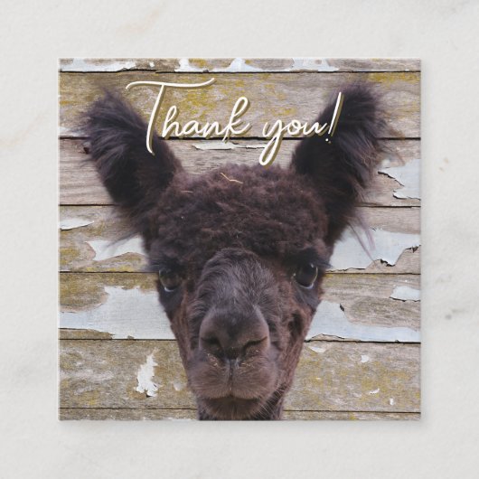 Baby Alpaca Customer Thank You Discount Vierkante Visitekaartje (Voorkant)
