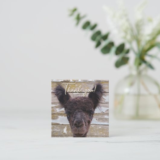 Baby Alpaca Customer Thank You Discount Vierkante Visitekaartje (Staand voorkant)