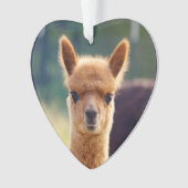 Baby Alpaca Heart Ornament (voorkant)