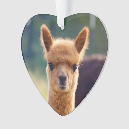 Baby Alpaca Heart Ornament (voorkant)