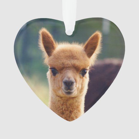 Baby Alpaca Heart Ornament (voorkant)