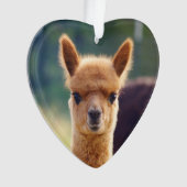 Baby Alpaca Heart Ornament (voorkant)