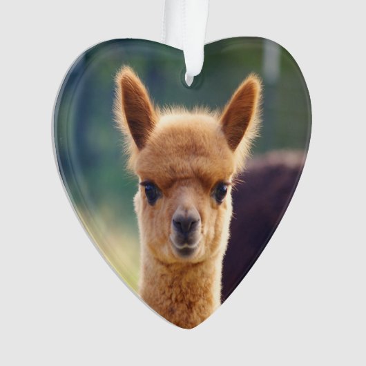 Baby Alpaca Heart Ornament (voorkant)