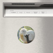 Baby Alpaca kusmagneet Magneet (Insitu (Vaatwasser))