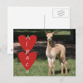 Baby alpaca love briefkaart (Voorkant / Achterkant)