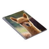 Baby Alpaca Spiral-laptops Notitieboek (Rechterzijde)