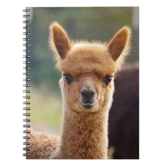 Baby Alpaca Spiral-laptops Notitieboek (Voorkant)