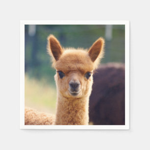 Baby Alpaca standaard cocktail servet