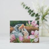 Baby American Robin Bird in Nest Waterverf Art  Briefkaart (Staand voorkant)