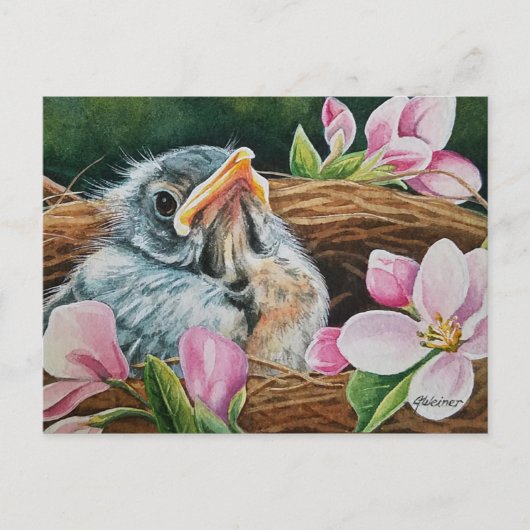 Baby American Robin Bird in Nest Waterverf Art  Briefkaart (Voorkant)