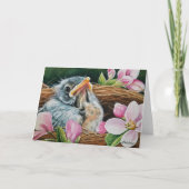 Baby American Robin Bird in Nest Waterverf Art Kaart (Voorkant)