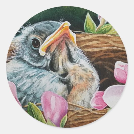 Baby American Robin Bird in Nest Waterverf Art Ronde Sticker (Voorkant)