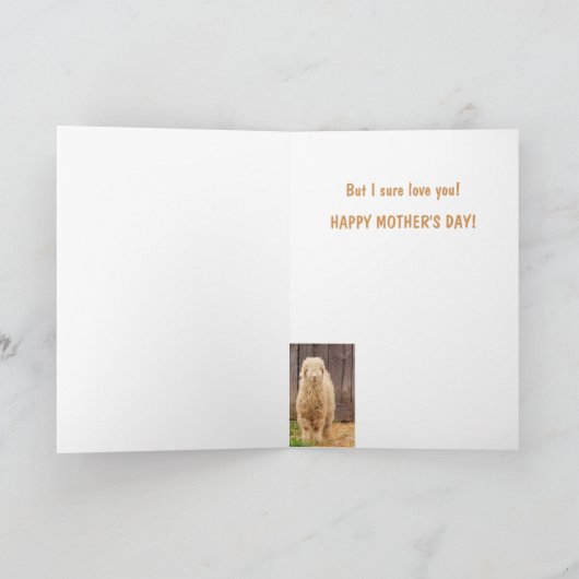 Baby Angora Goat Moederdag Kaart (Binnen)